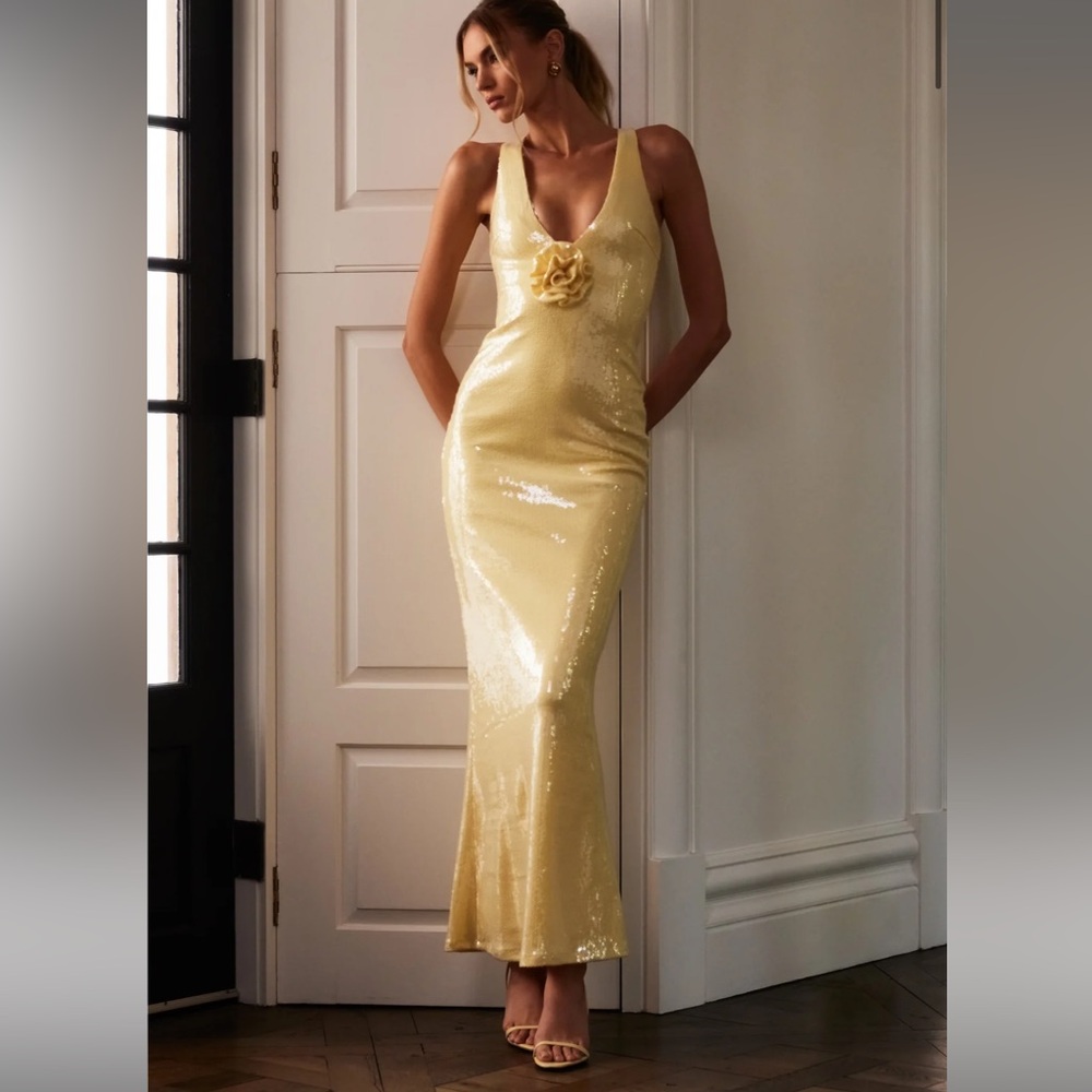 Eliza meshki dress size small has been worn